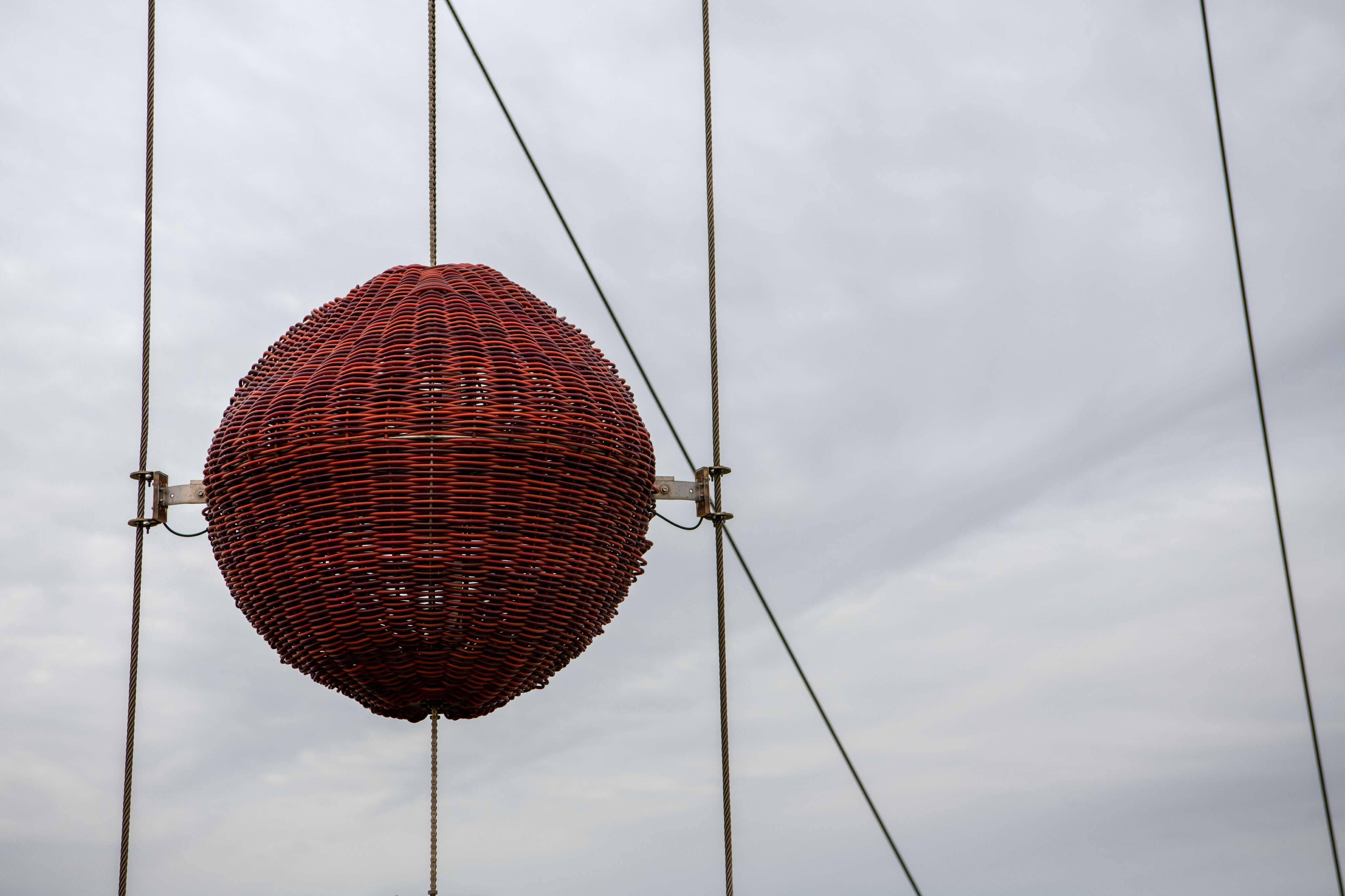 Basket Case