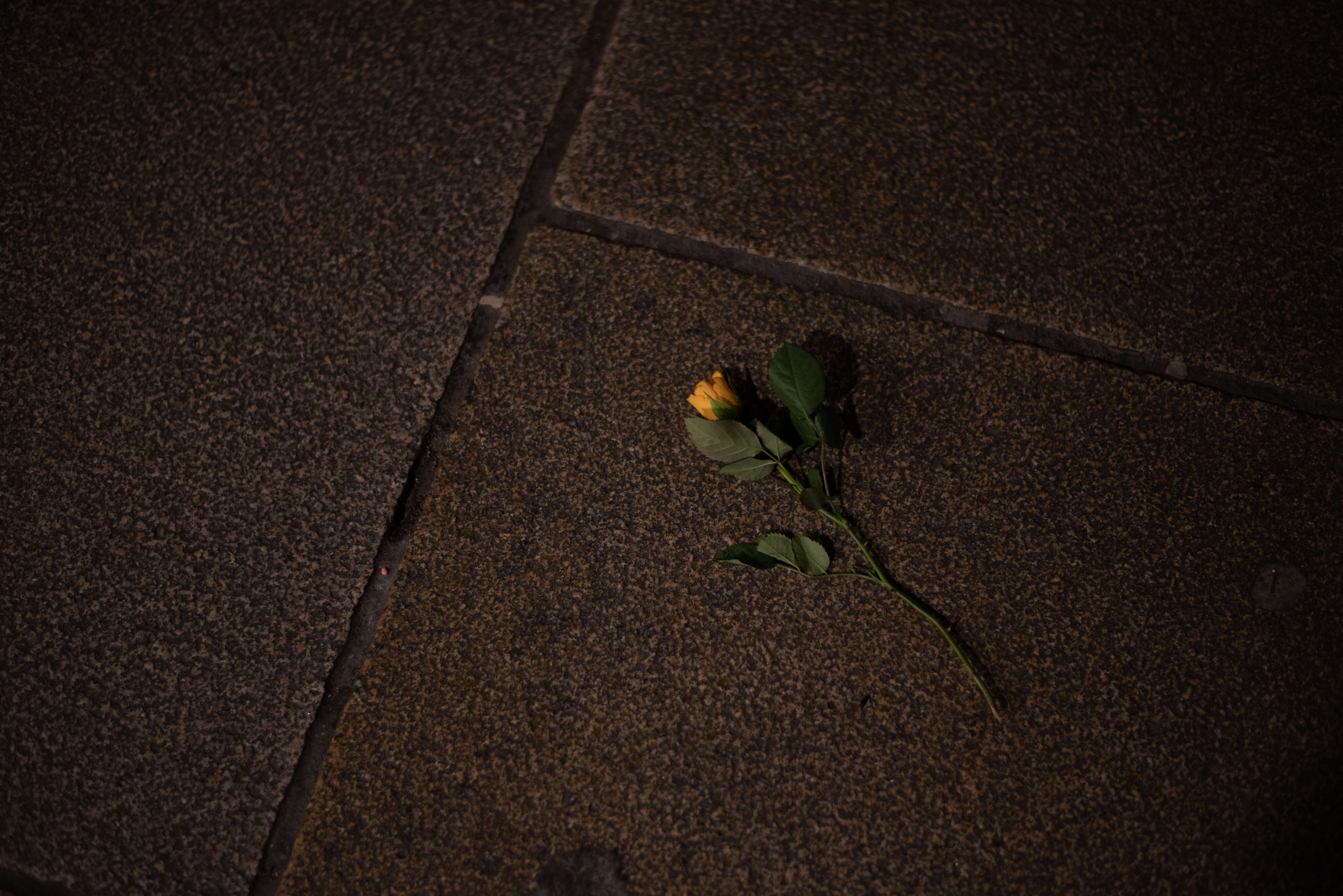 Love is dead