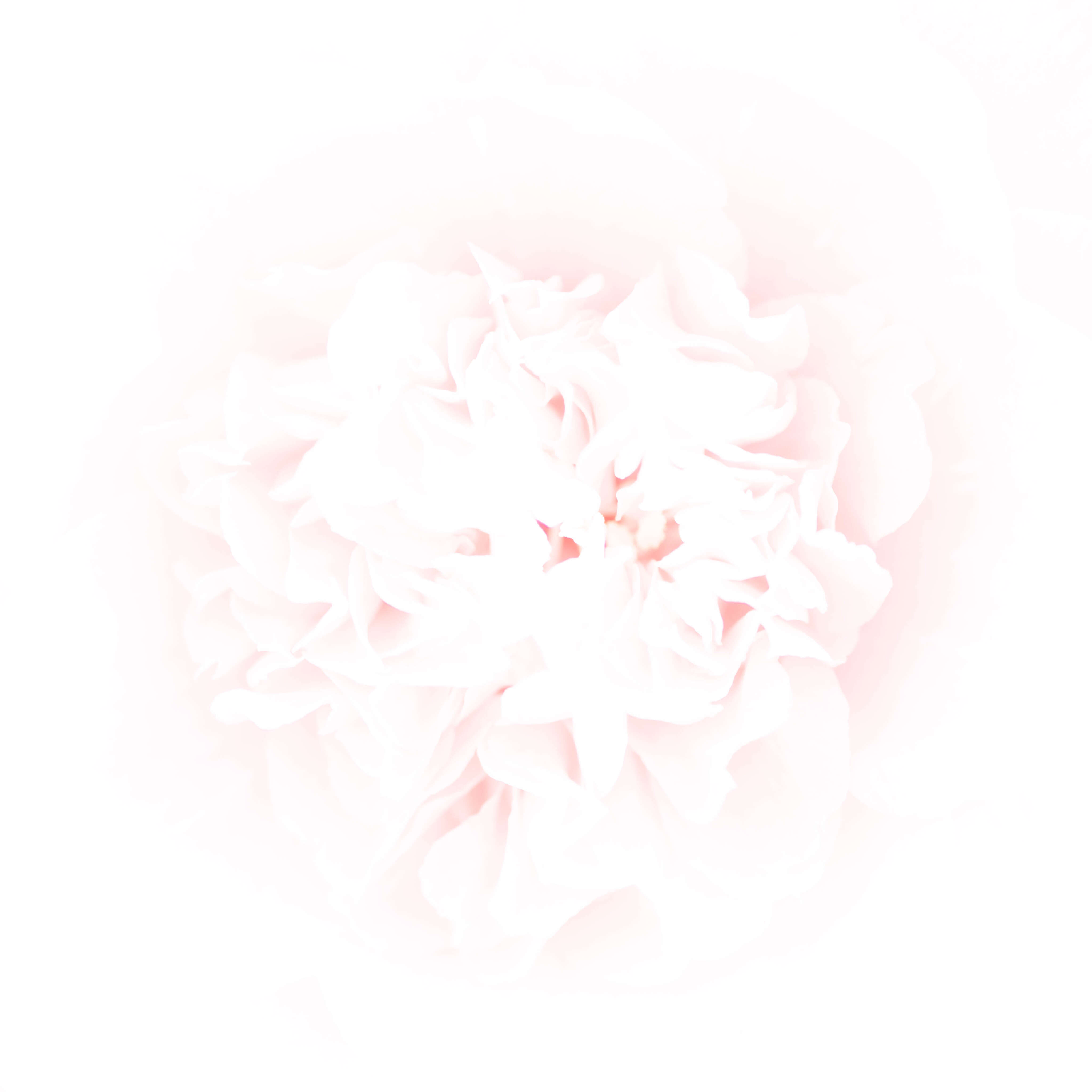 Whiteout