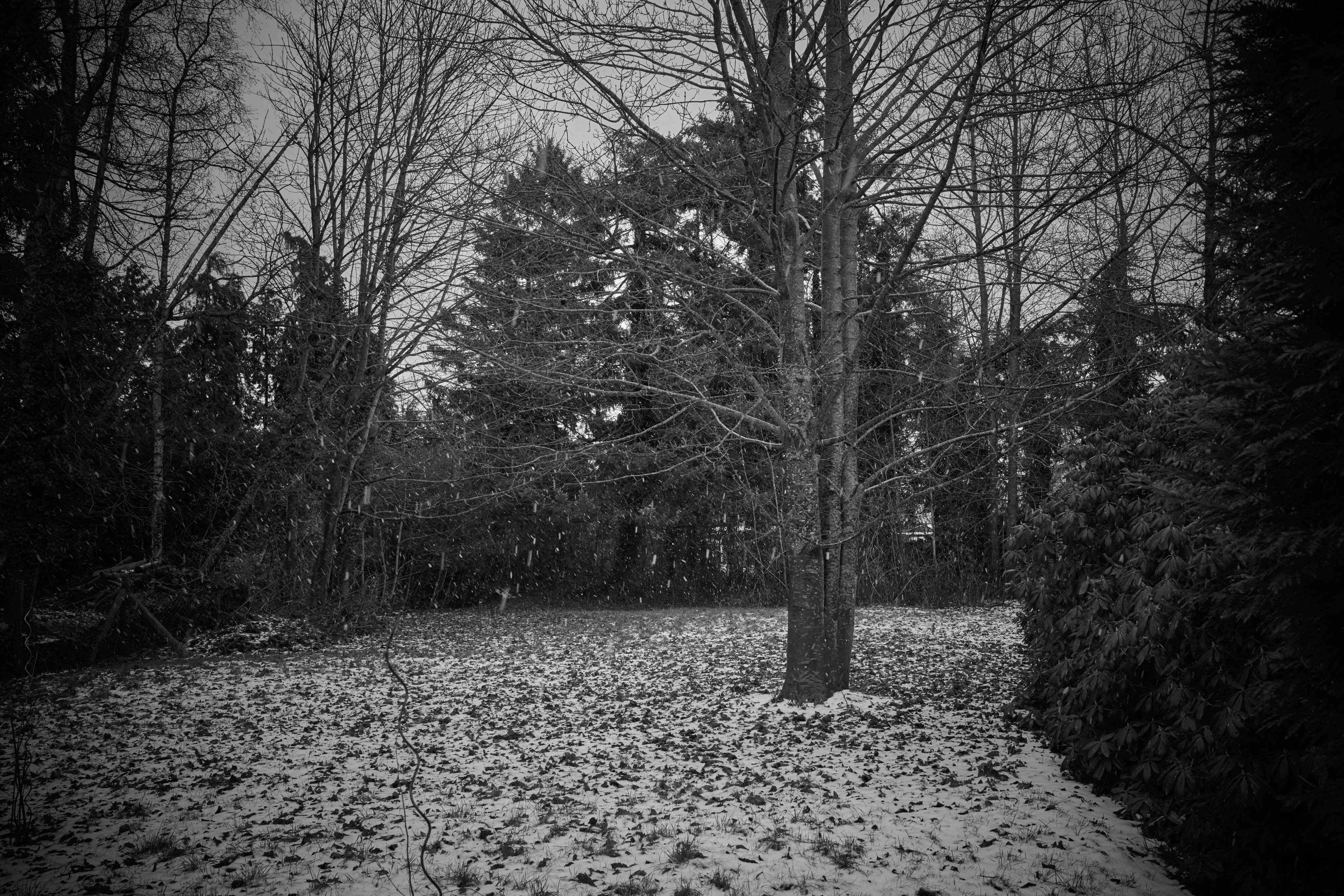 There is neither chaos nor order