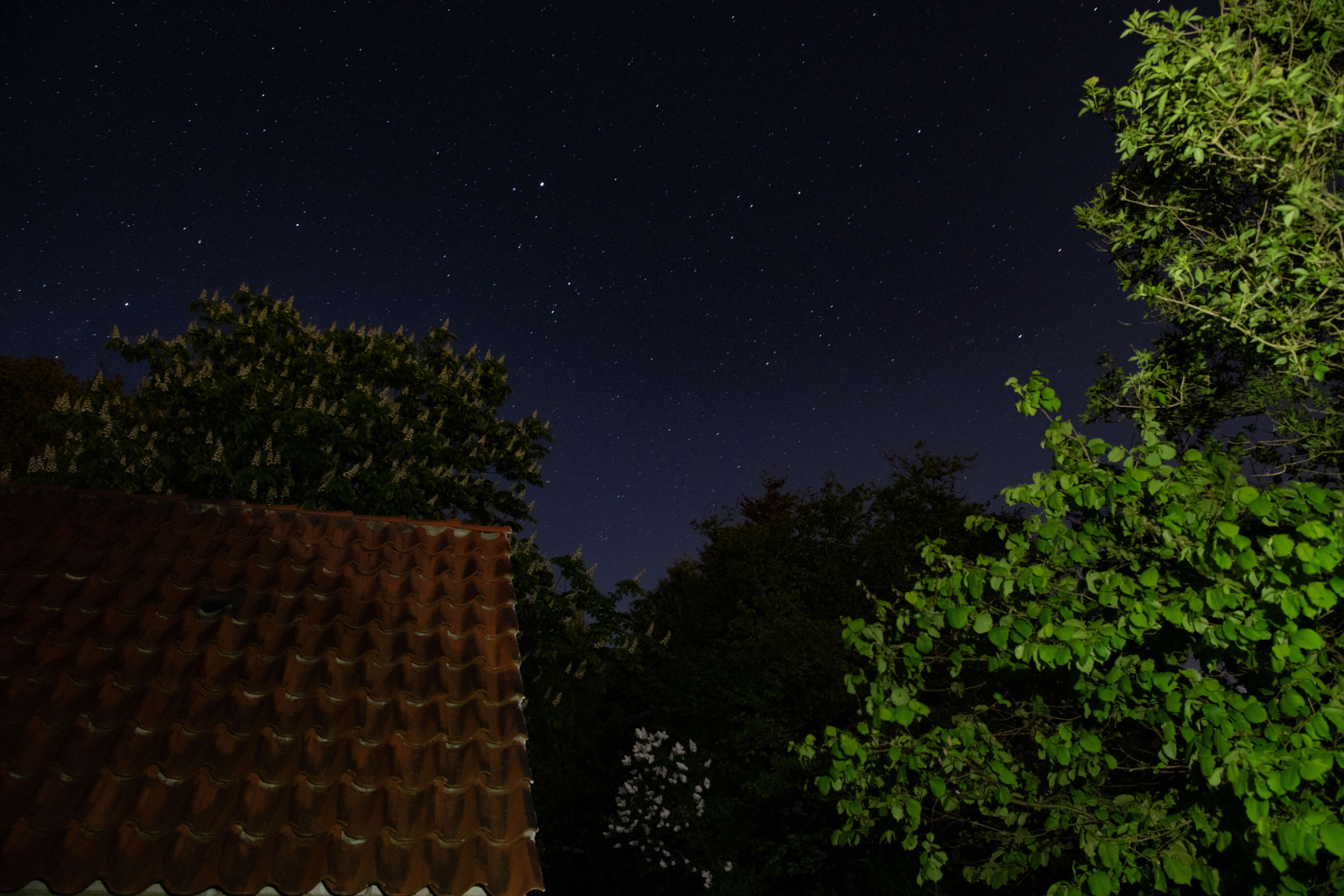 Roof
