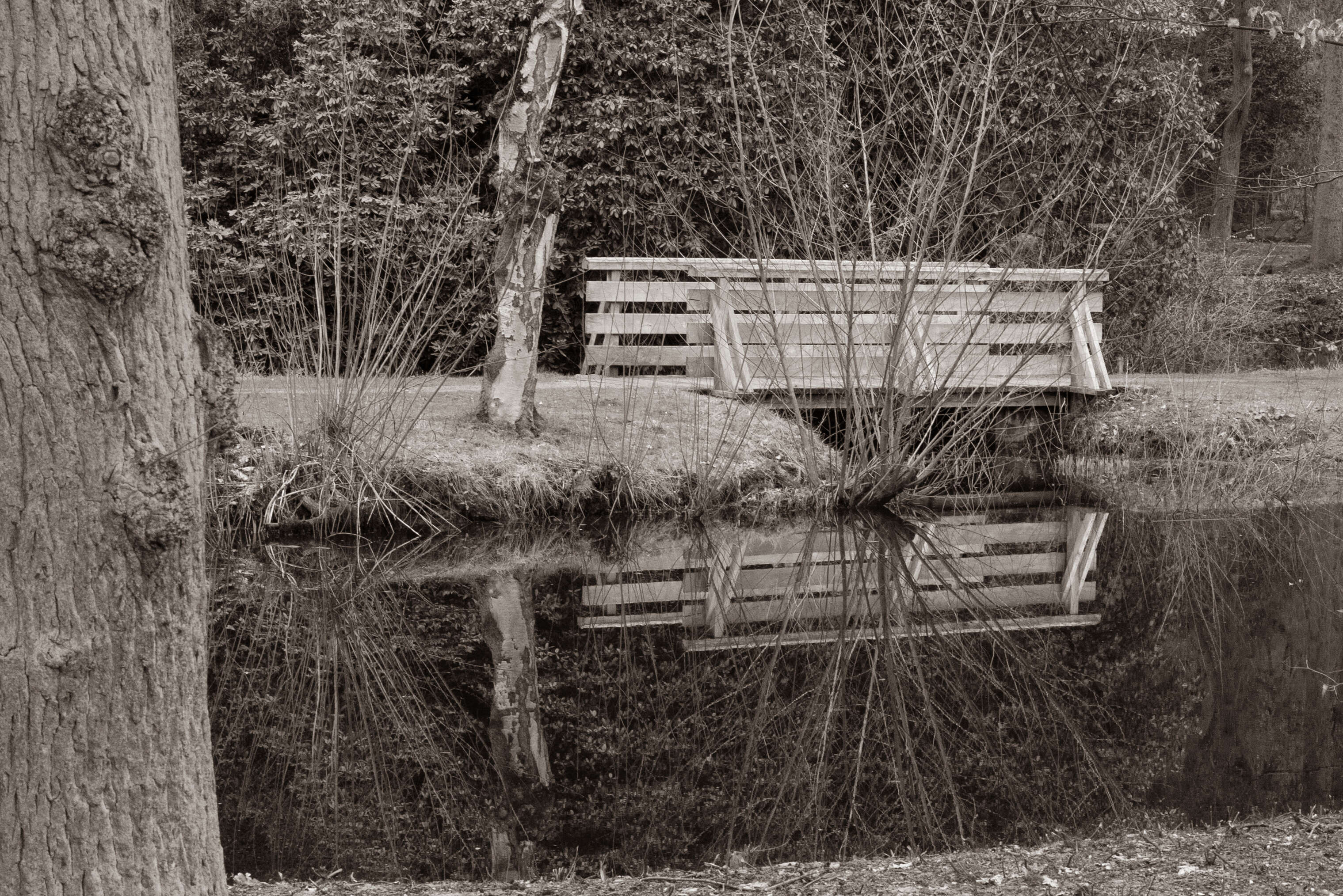 Bridging