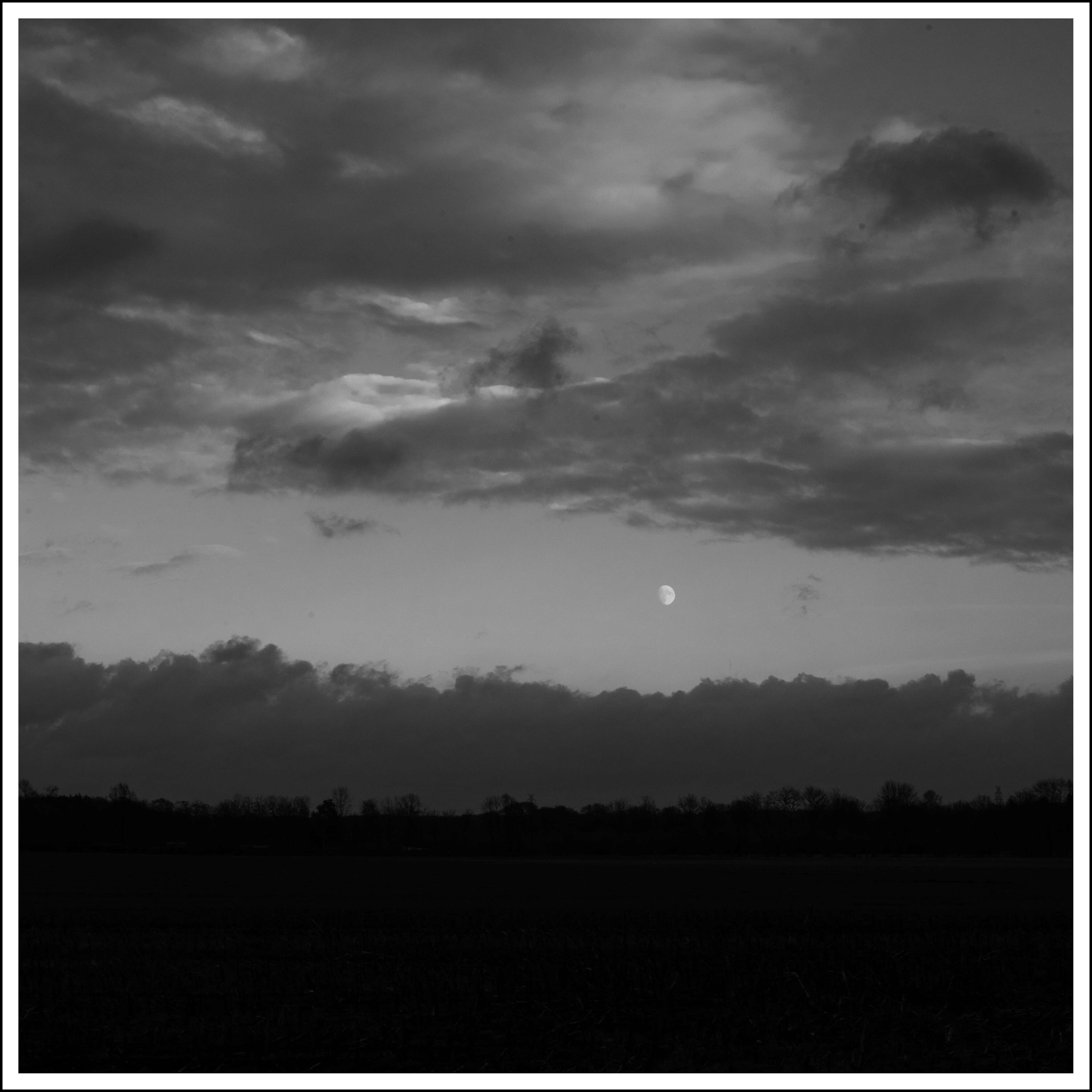 Luna in a square