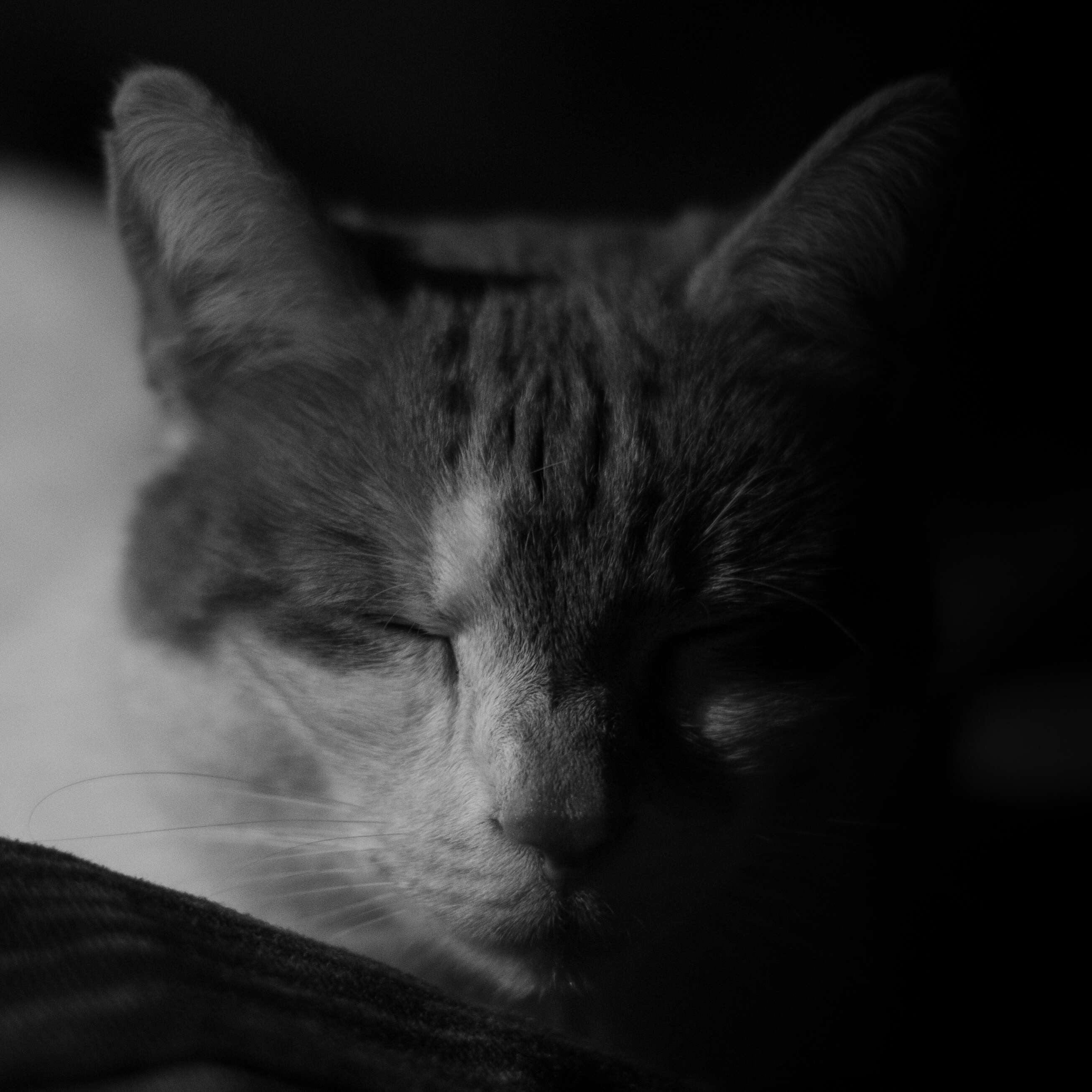 Dream On