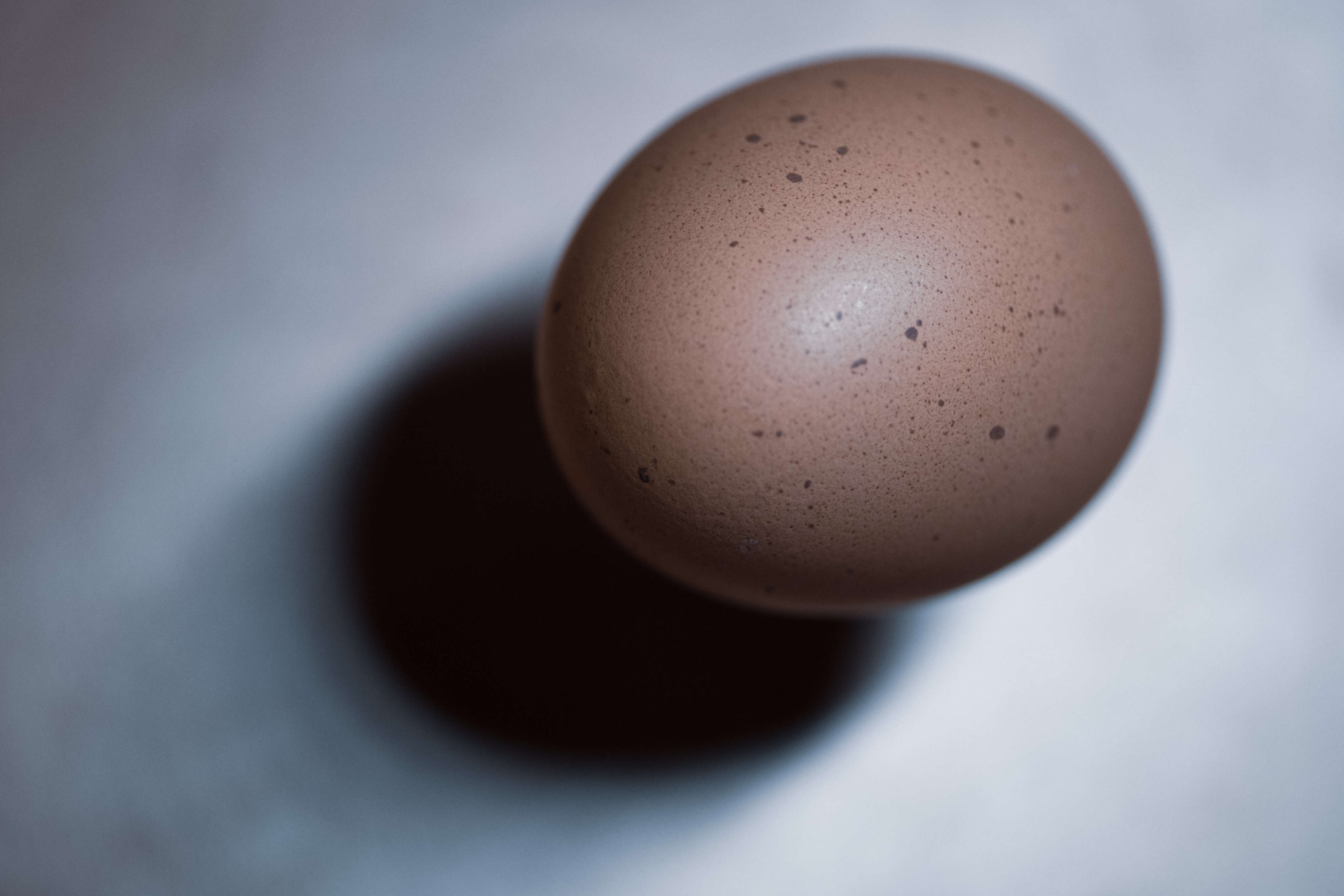 Egged