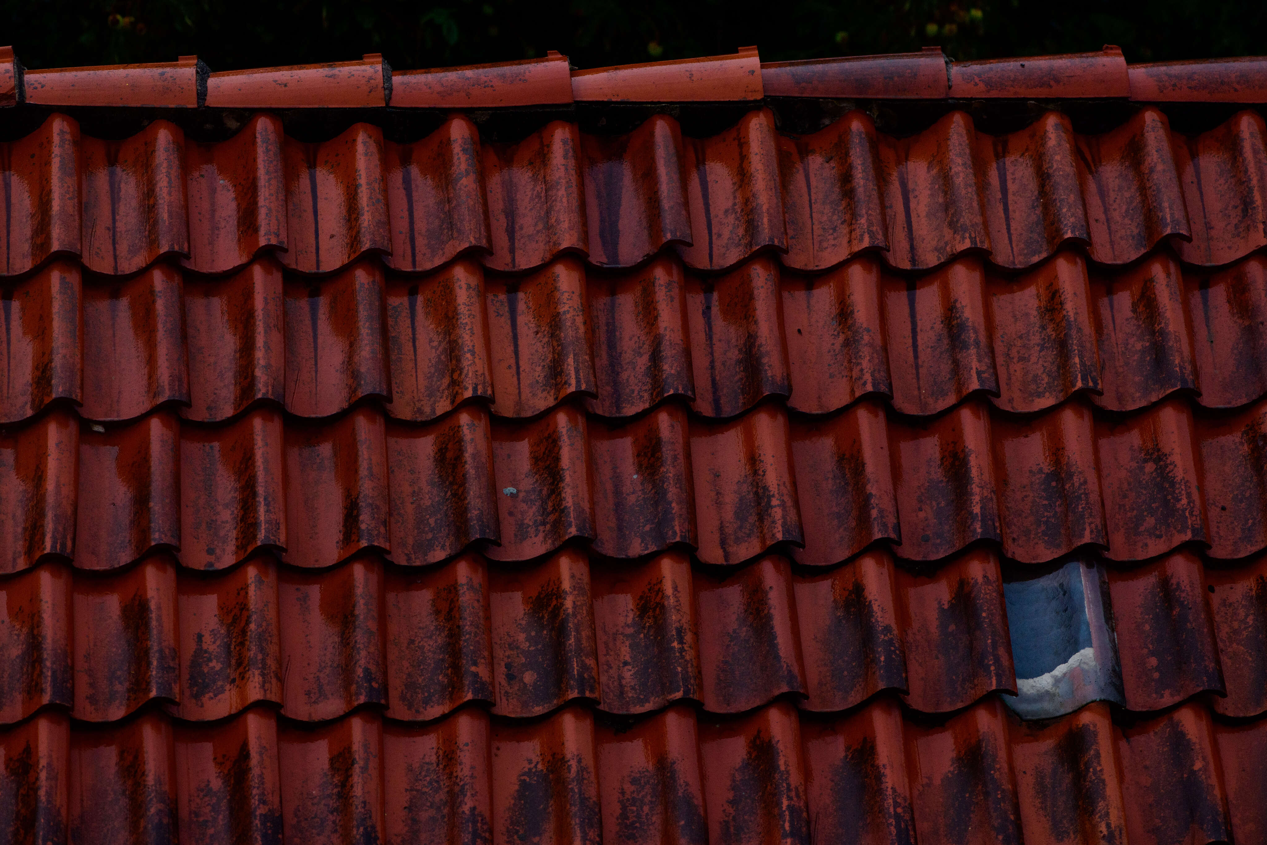 Roof