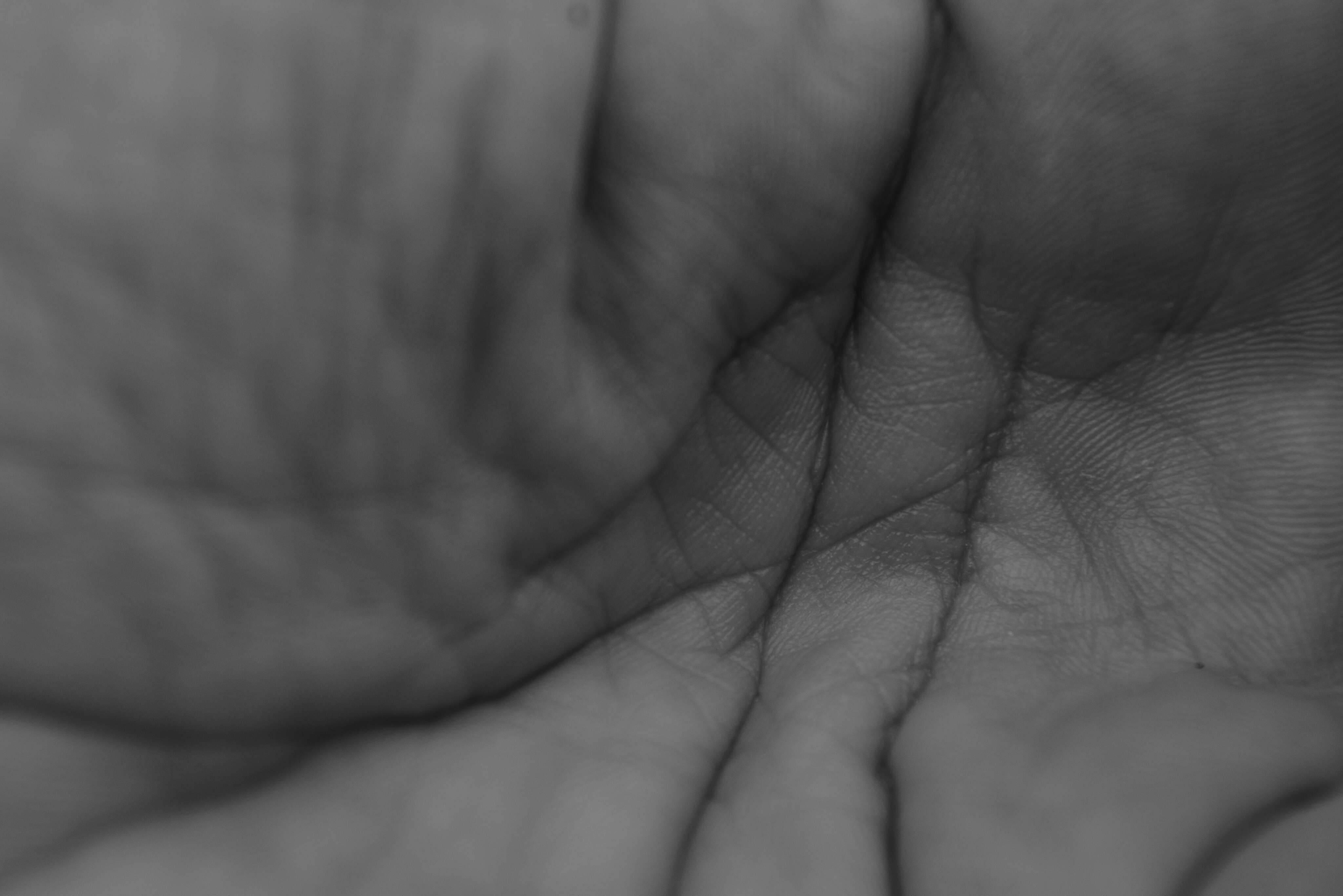 lifeline