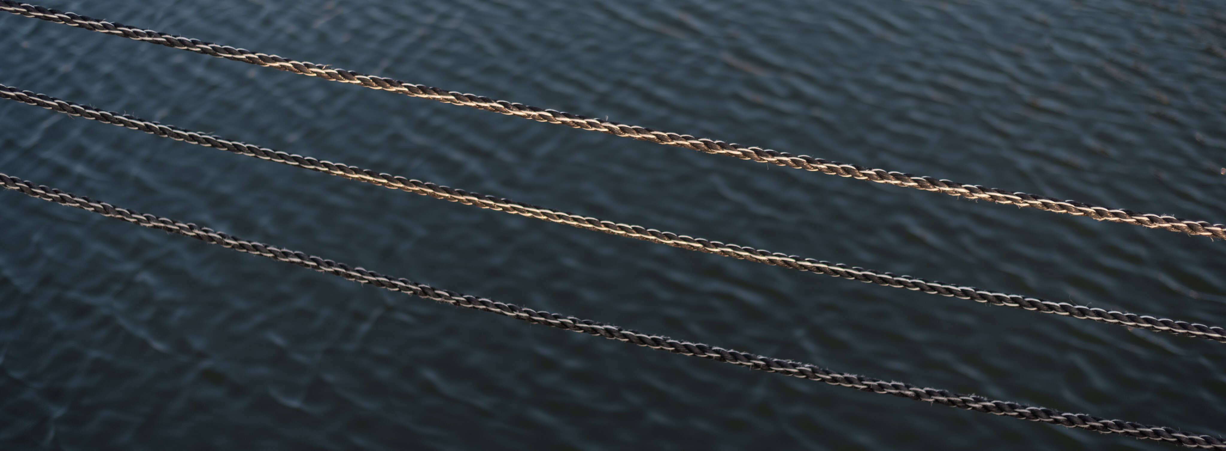 Safety Net