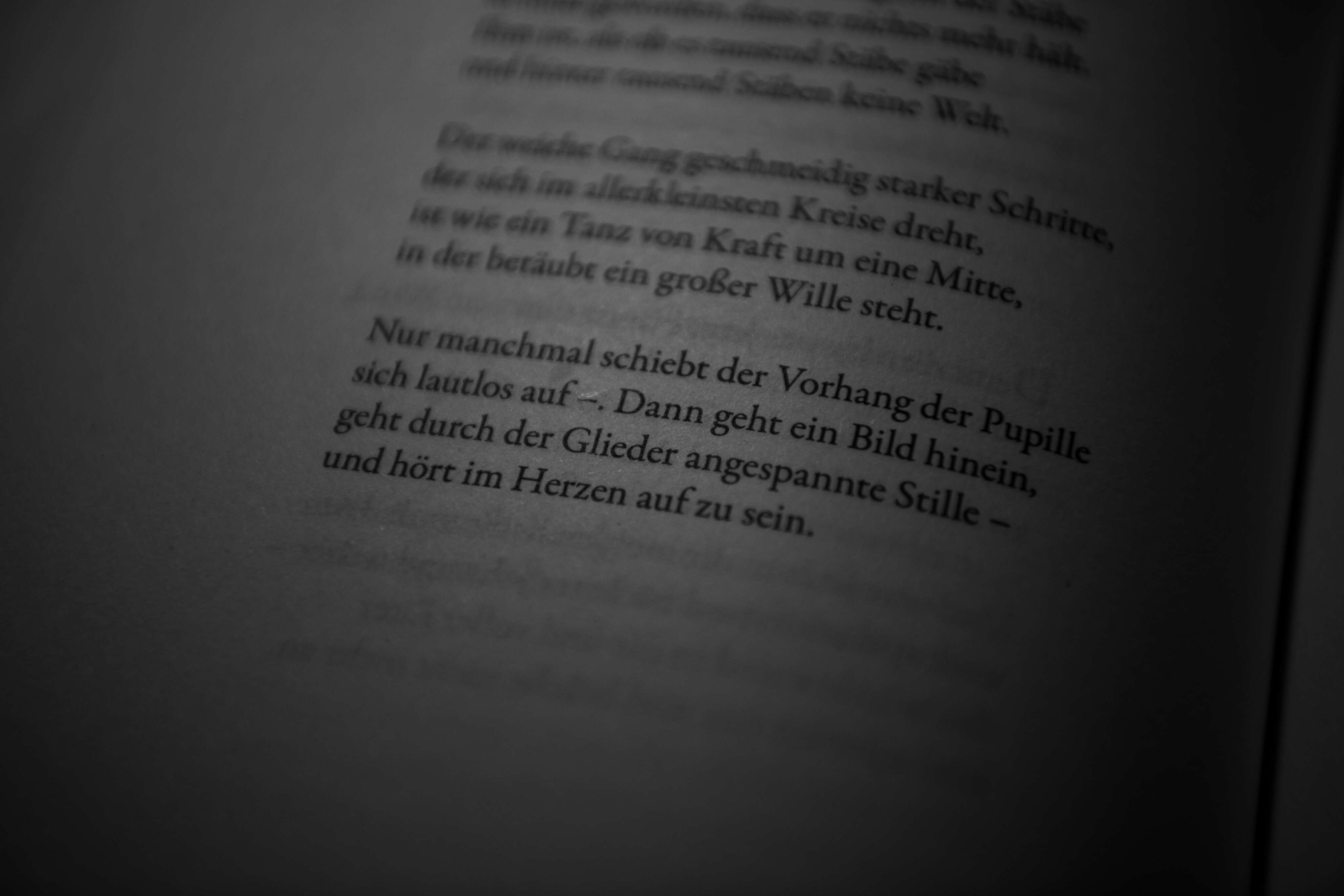 Fremdeinwirkung