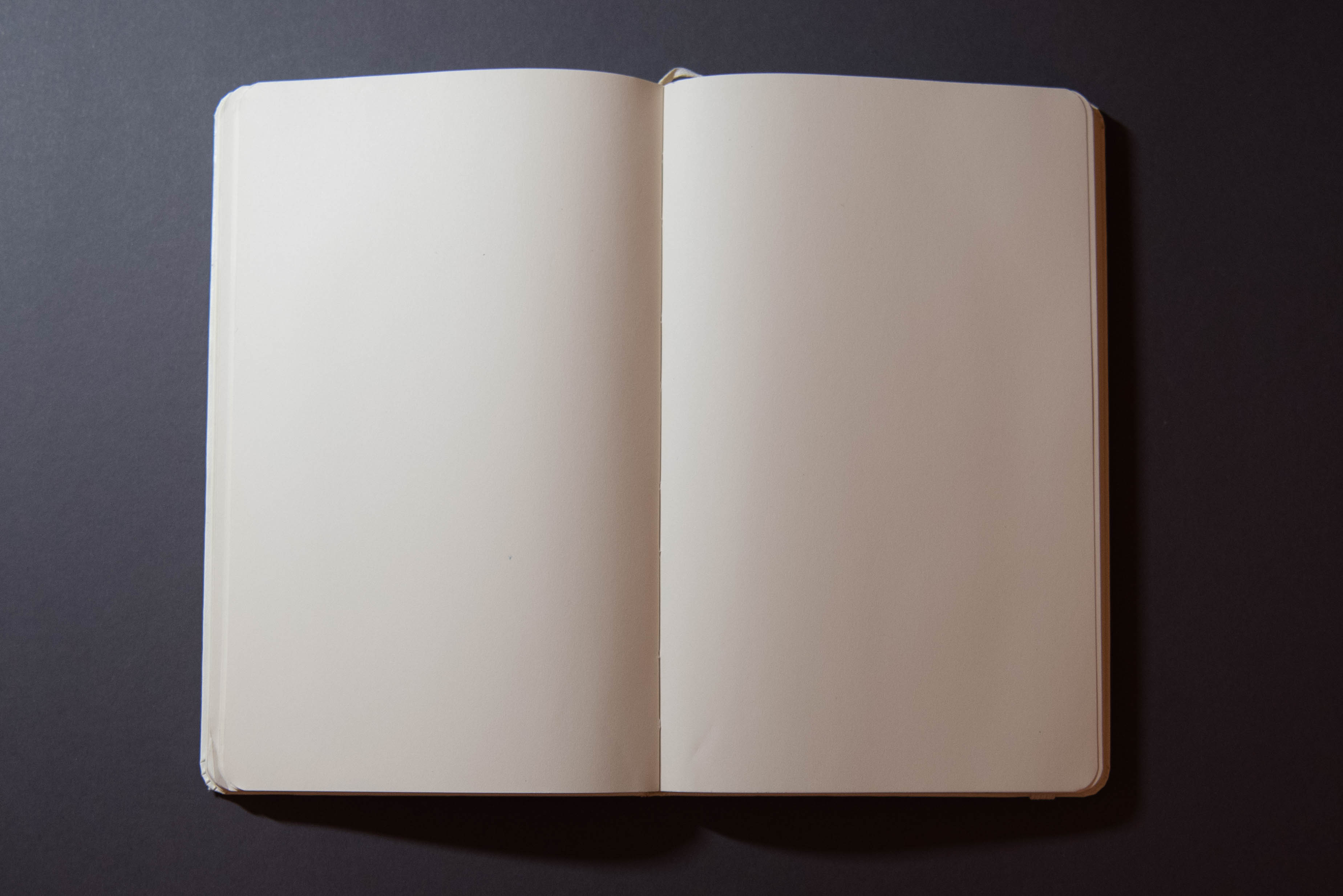 Diary