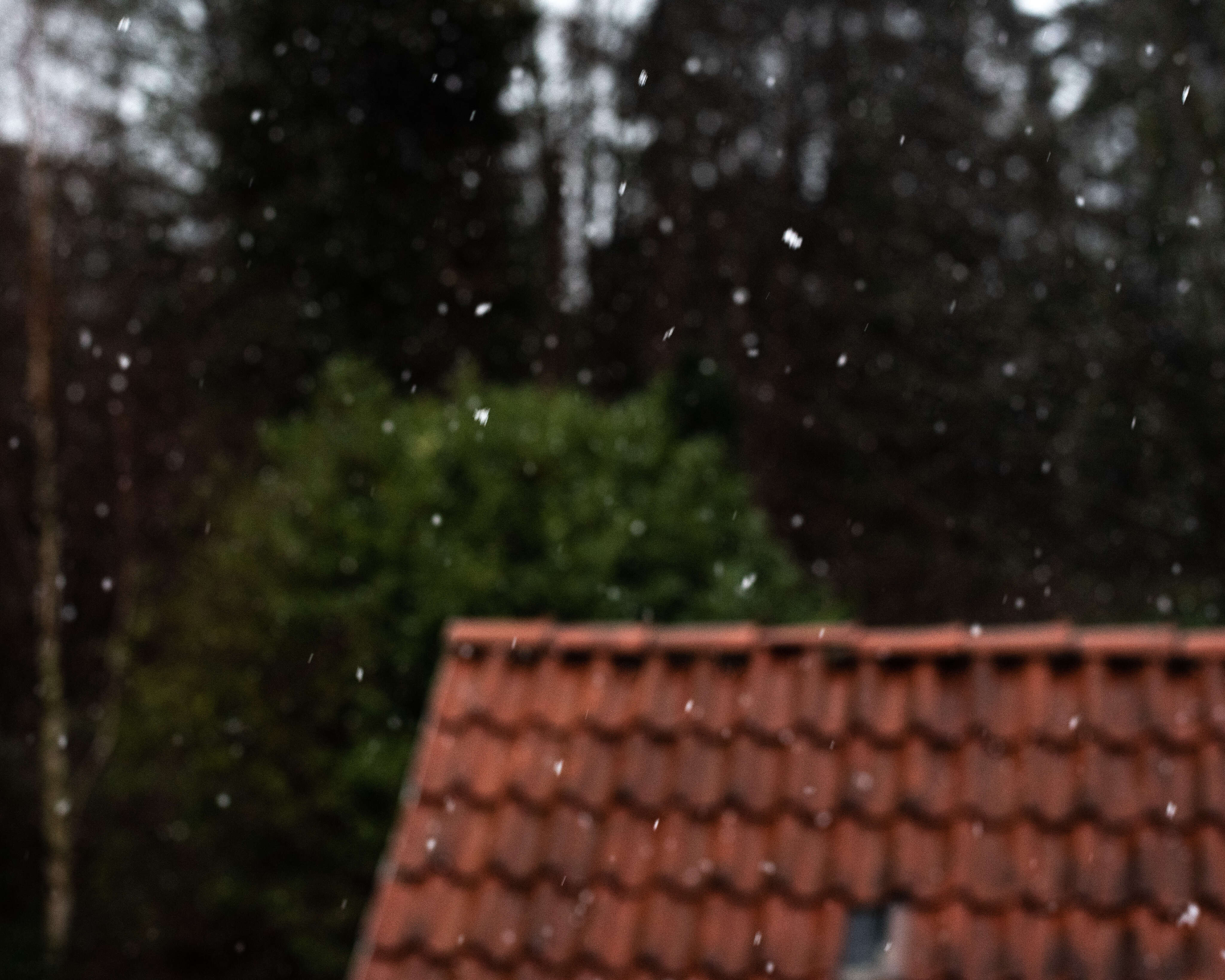 Frozen Rain