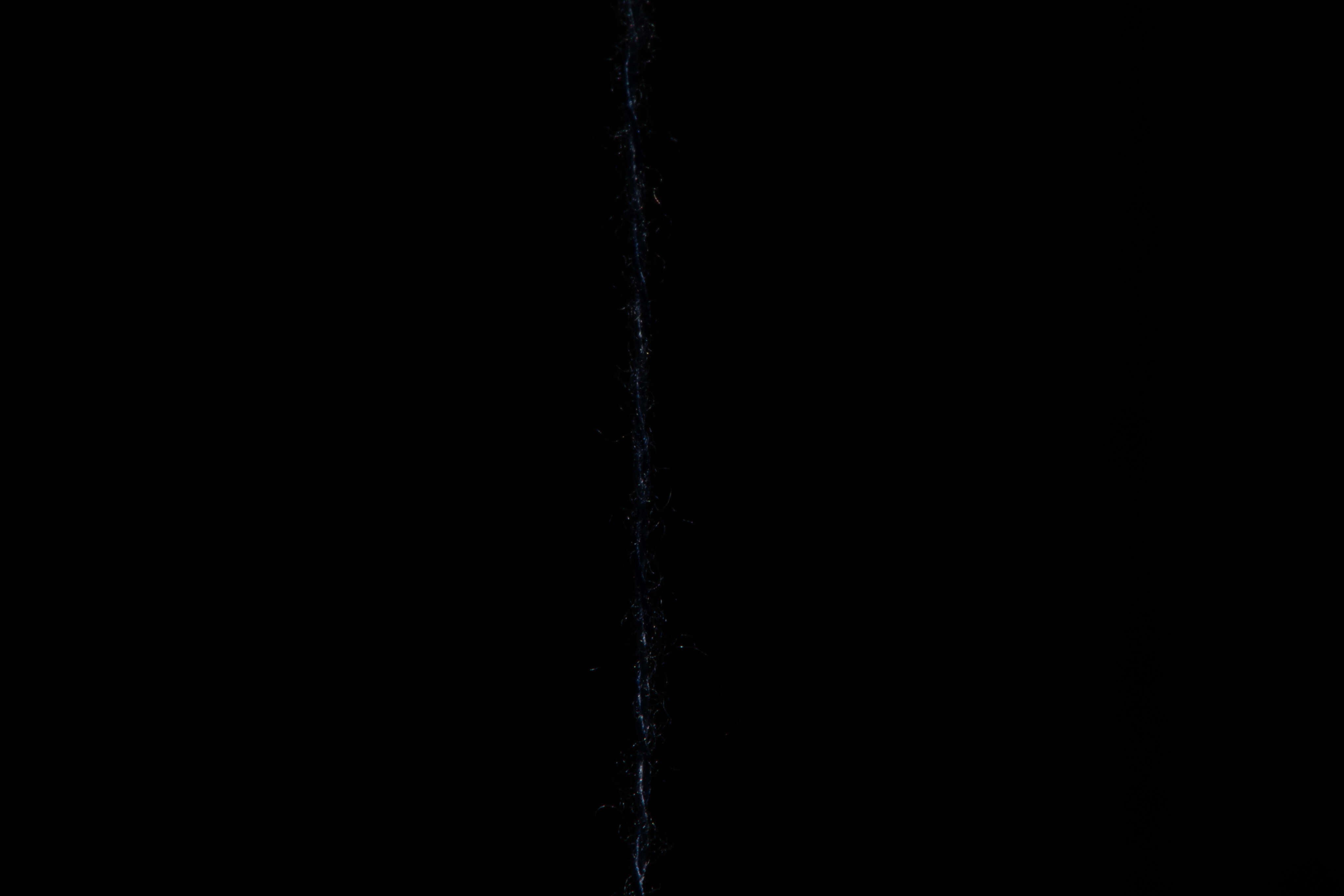 Fiat Lux