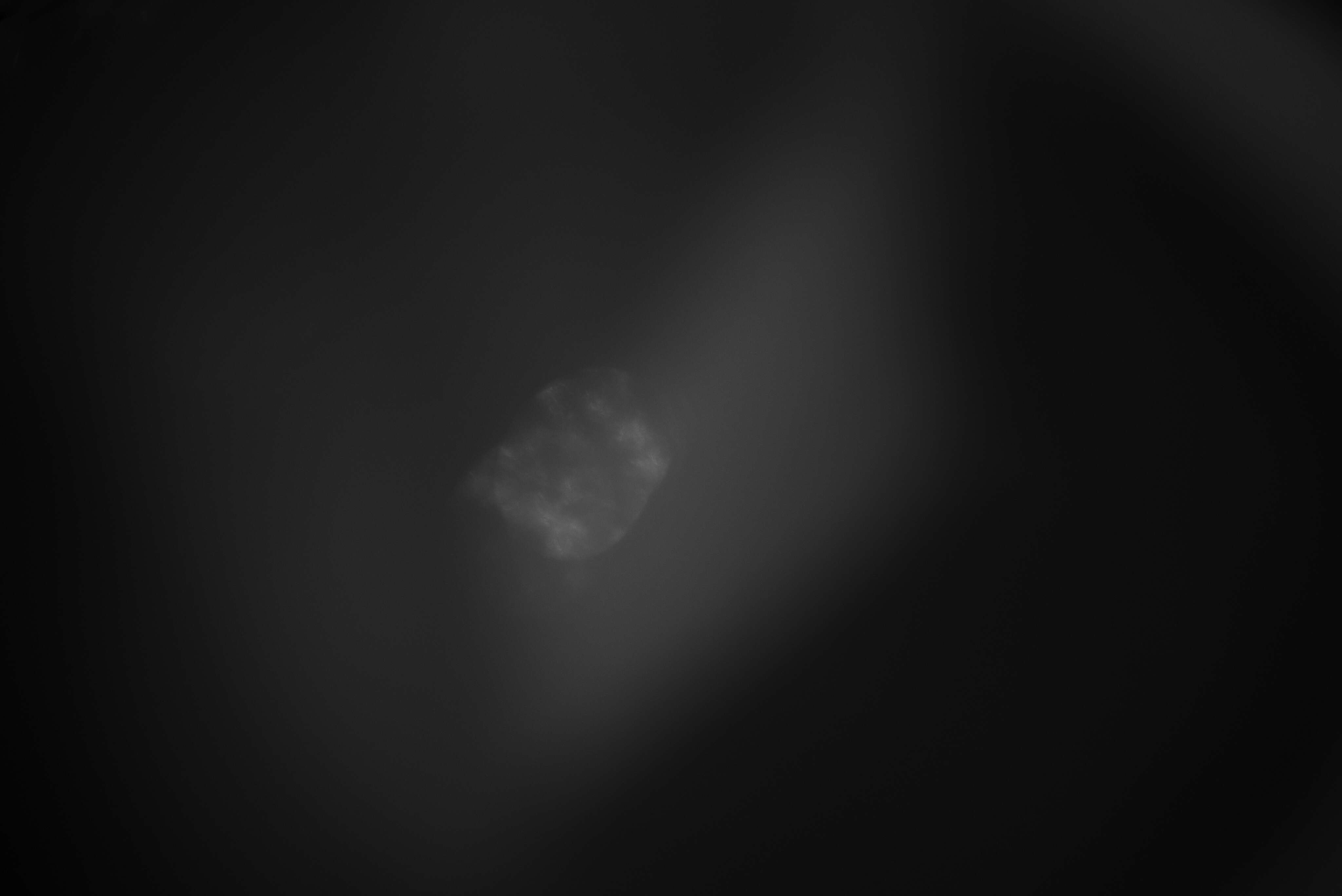 Stardust
