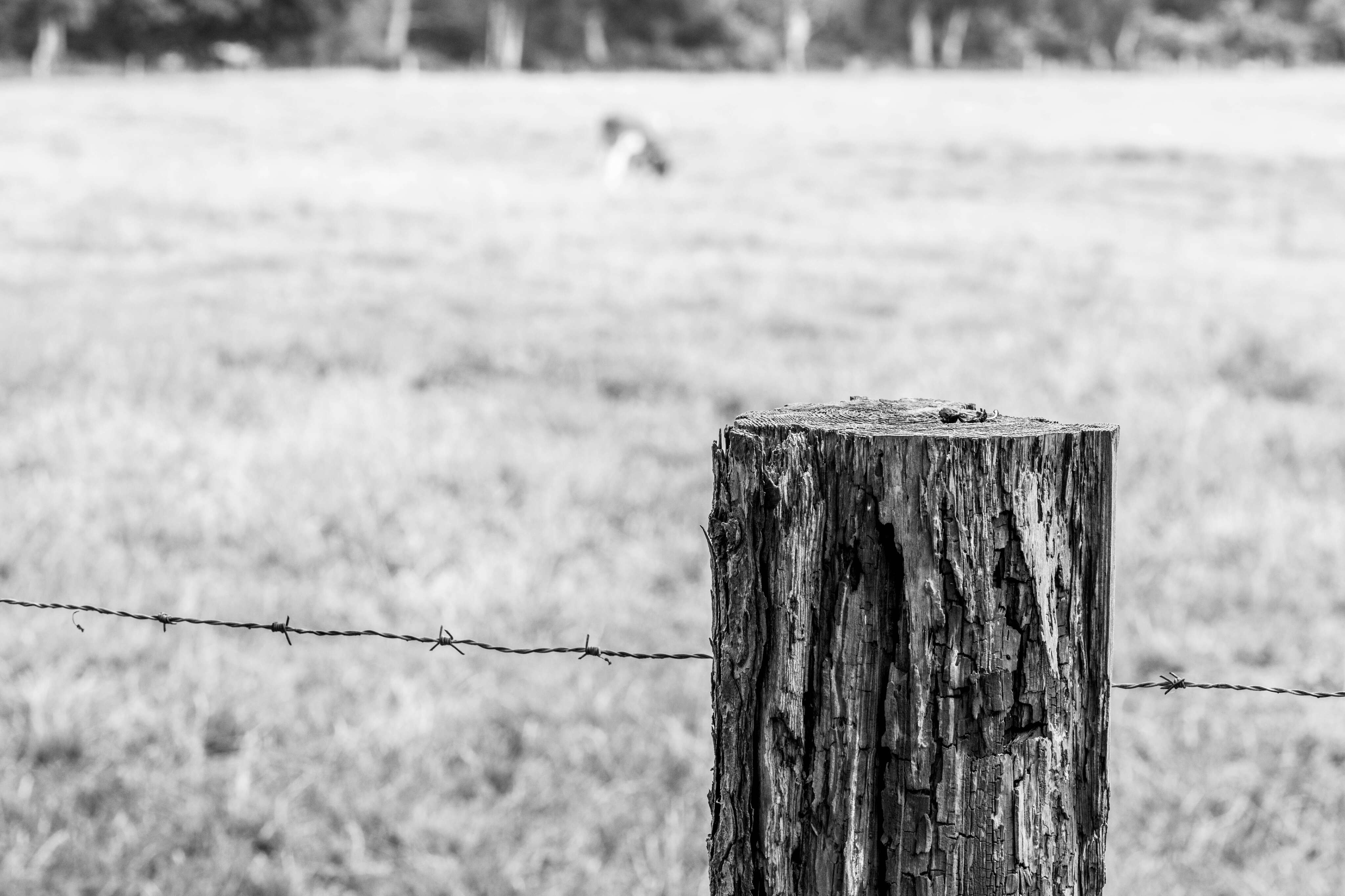 Barriers