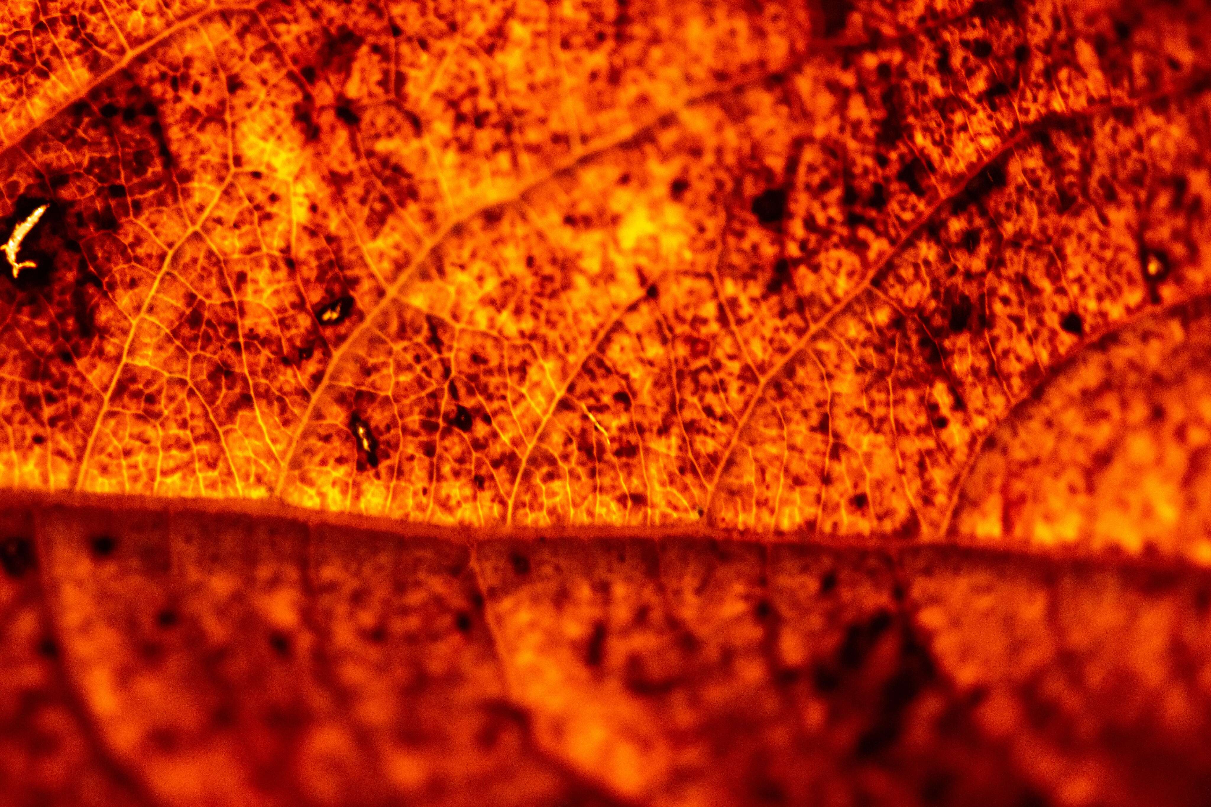 Inferno