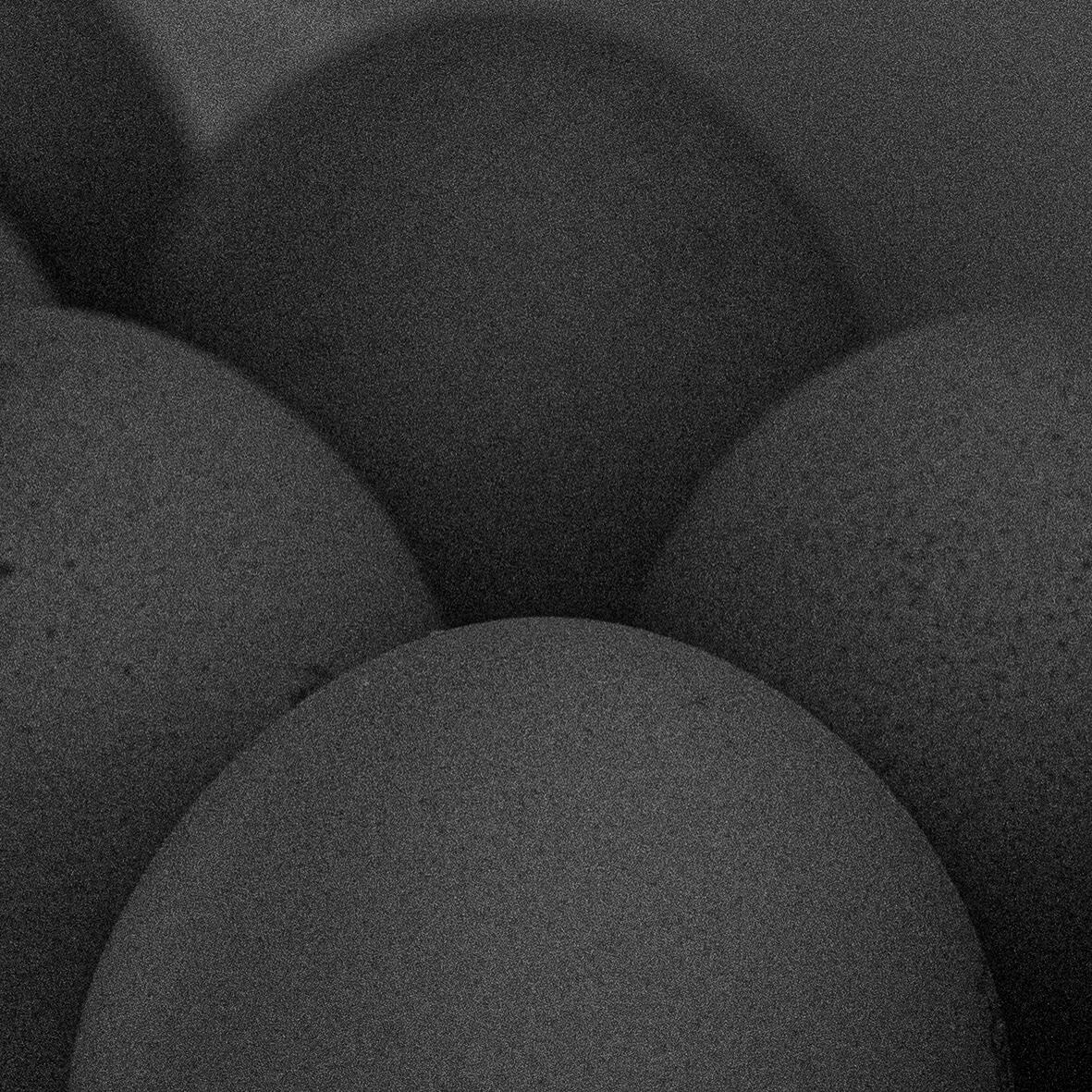 Ovum