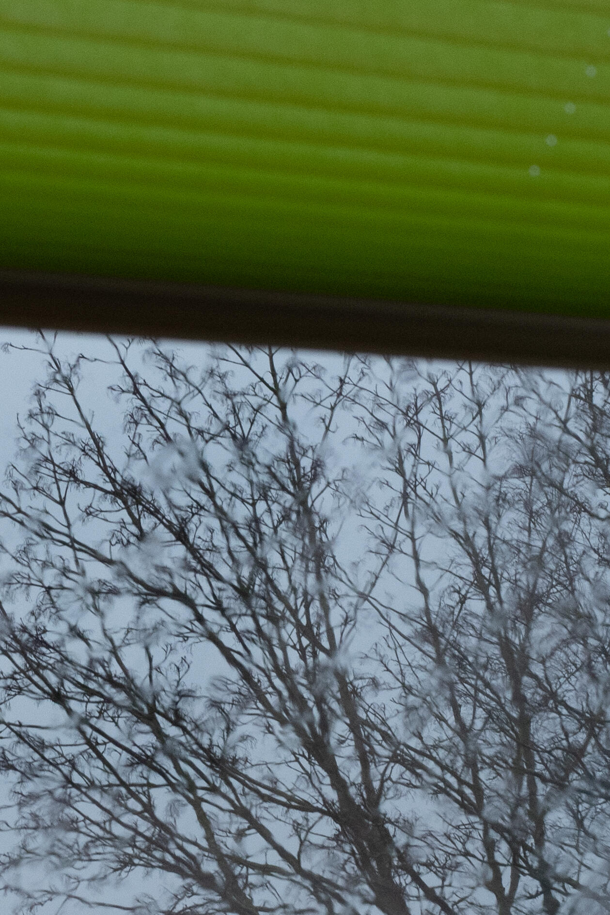 Promise of Spring