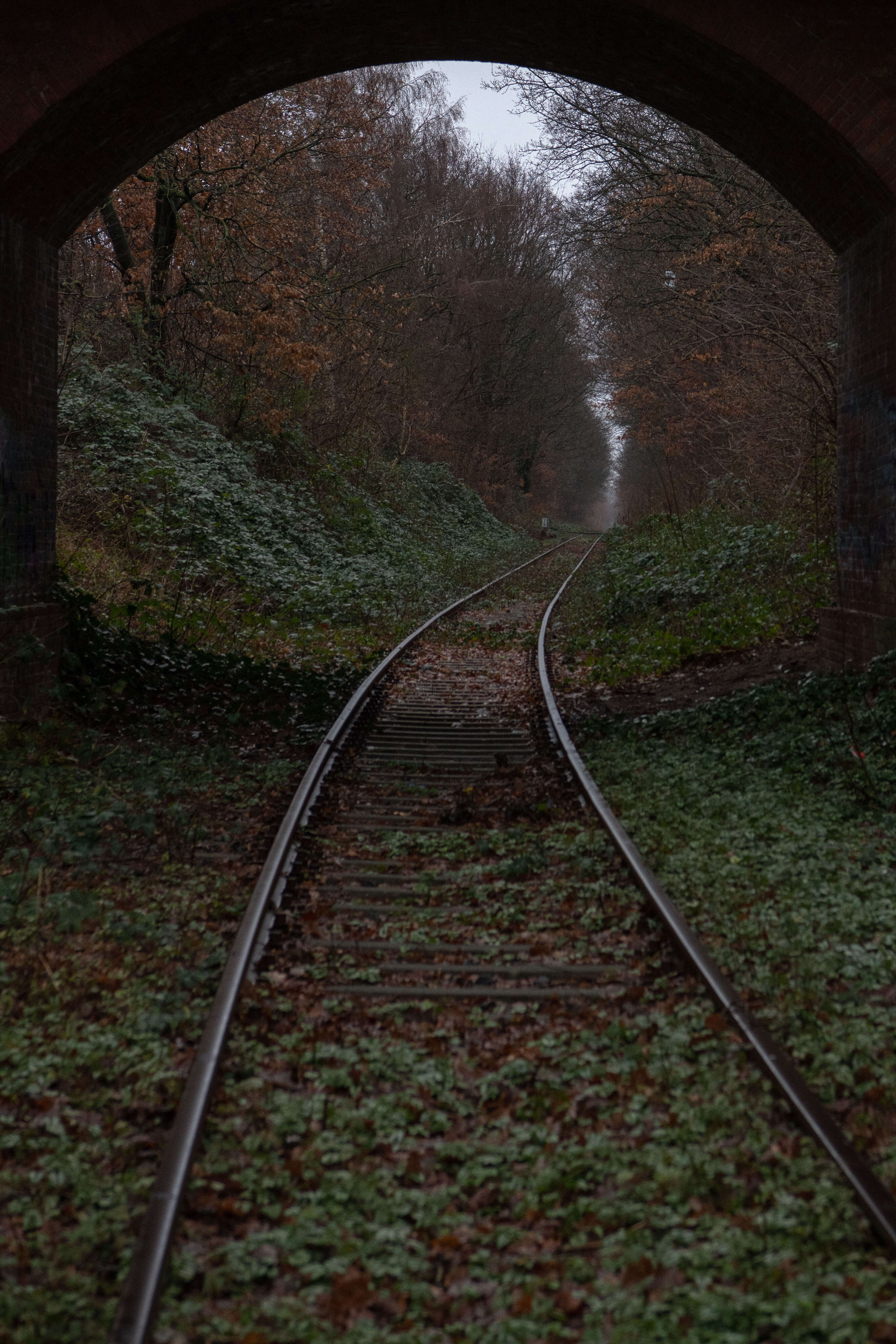 Follow me, I'll be right behind you